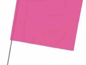 Bendera Warna Pink: Makna, Sejarah, dan Simbolisme di Berbagai Konteks